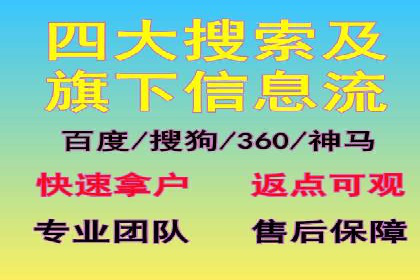 专业sem托管服务案例，揭秘广告投放优化策略